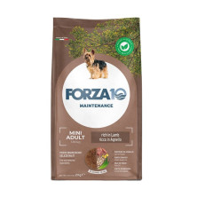 Forza10 Maintenance Dog...