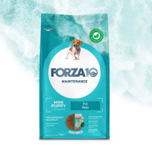 Forza10 Mini Puppy - Pesce...