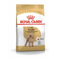 Royal Canin Poodle Dog...