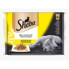 Sheba Delicatezza in...