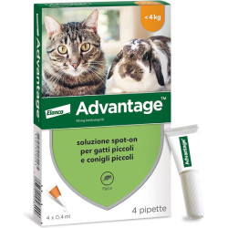 Advantage per Gatti e Conigli fino a 4 kg – Antiparassitario Spot-on contro Pulci, 4 Pipette