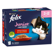 PURINA FELIX le...
