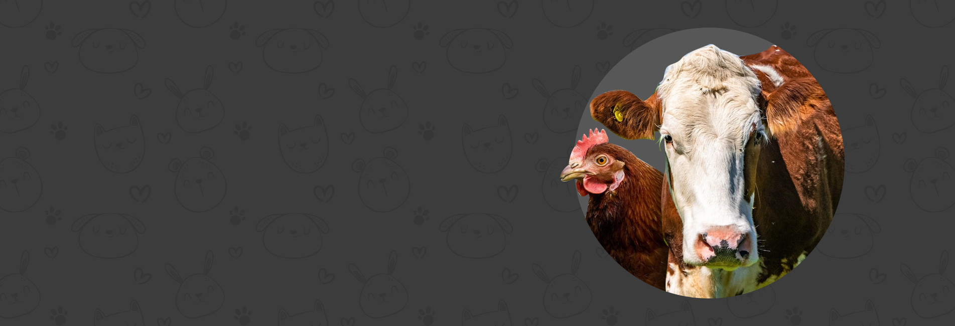 Mangimi per animali da resa